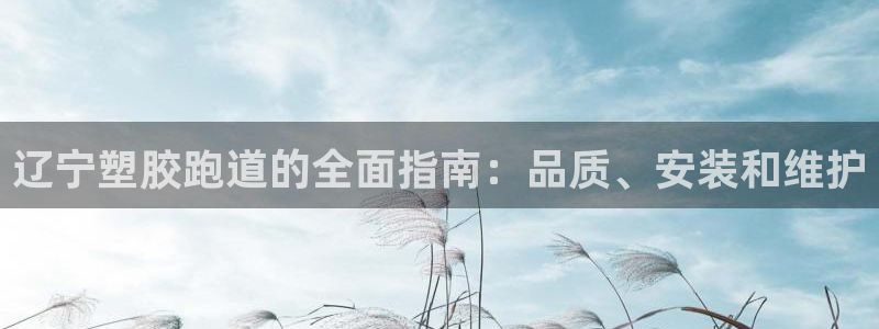 谈球吧官网在线入口免费观看高清：辽宁塑胶跑道的全面指南：品质、安装和维护