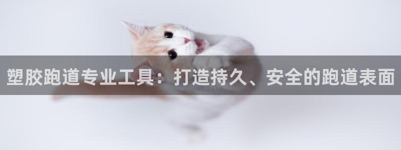 谈球吧怎么样?：塑胶跑道专业工具：打造持久、安全的跑道表面