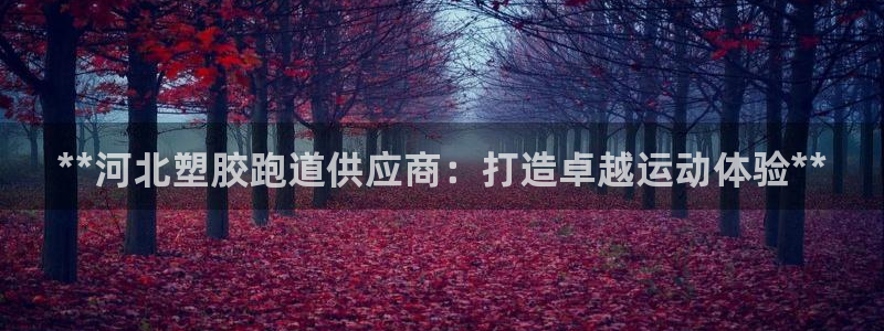 谈球吧算违法行为吗：**河北塑胶跑道供应商：打造卓越运动体验**