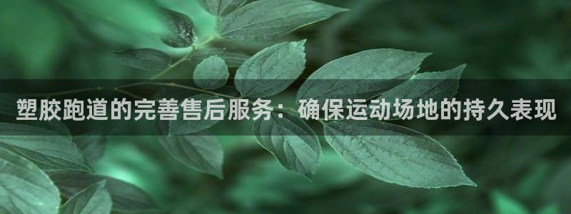 谈球吧体育app下载中心官方最新版：塑胶跑道的完善售后服务：确保运动场地的持久表现
