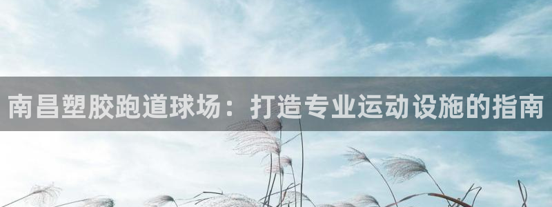 谈球吧体育官方入口：南昌塑胶跑道球场：打造专业运动设施的指南