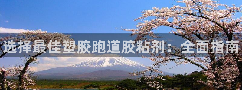 谈球吧体育官方入口：选择最佳塑胶跑道胶粘剂：全面指南