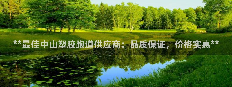 谈球吧tvt：**最佳中山塑胶跑道供应商：品质保证，价格实惠**