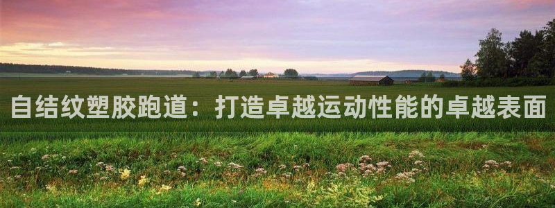 谈球吧体育app下载中心在哪：自结纹塑胶跑道：打造卓