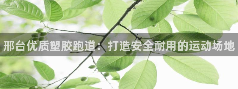 谈球吧平台正规吗可信吗：邢台优质塑胶跑道：打造安全耐用的运动场地