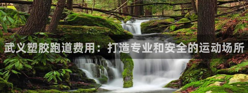 谈球吧体育app下载中心在哪：武义塑胶跑道费用：打造