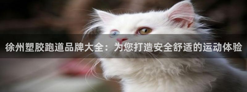 谈球吧的聊天软件是什么：徐州塑胶跑道品牌大全：为您打
