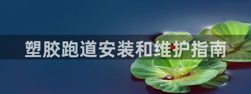 谈球吧平台app：塑胶跑道安装和维护指南