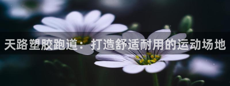 谈球吧体育app下载官网安卓：天路塑胶跑道：打造舒适耐用的运动场地