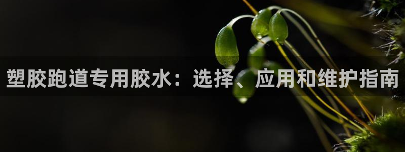 谈球吧官网在线入口：塑胶跑道专用胶水：选择、应用和维护指南