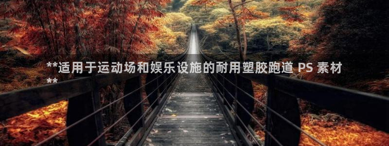 谈球吧-体育赛事：**适用于运动场和娱乐设施的耐用塑胶跑道 PS 素材
**