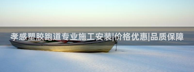 谈球吧娱乐app下载官网苹果：孝感塑胶跑道专业施工安装|价格优惠|品质保障