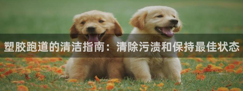 谈球吧APP：塑胶跑道的清洁指南：清除污渍和保持最佳状态