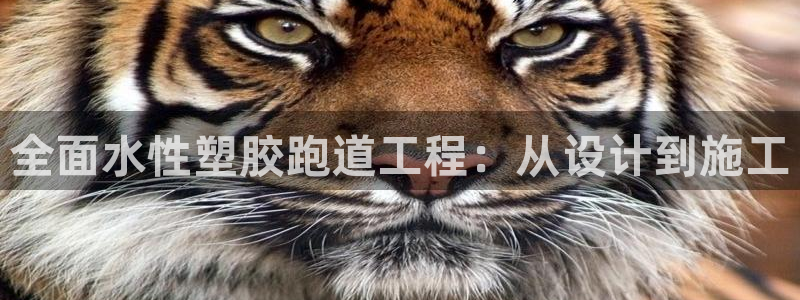 谈球吧app靠谱吗：全面水性塑胶跑道工程：从设计到施工