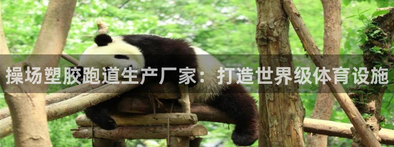 谈球吧是黑台子吗知乎小说：操场塑胶跑道生产厂家：打造世界级体育设施