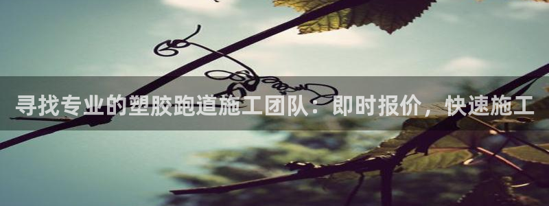 谈球吧体育官网入口：寻找专业的塑胶跑道施工团队：即时报价，快速施工