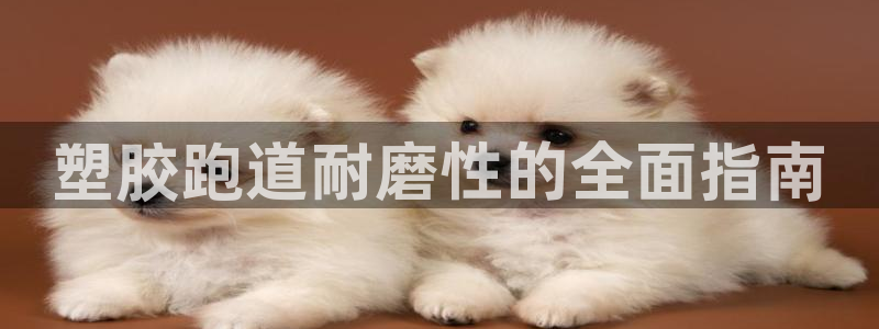 谈球吧官网入口
