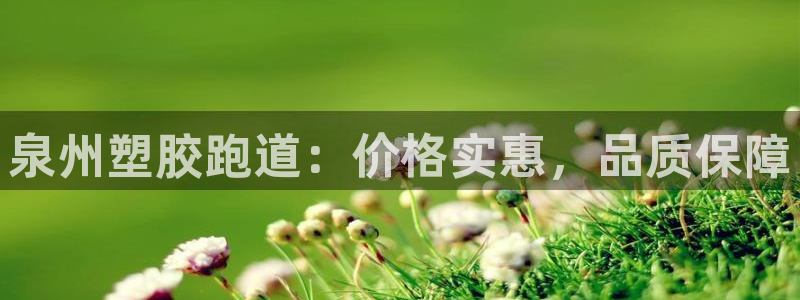 谈球吧是正规平台吗安全吗：泉州塑胶跑道：价格实惠，品质保障