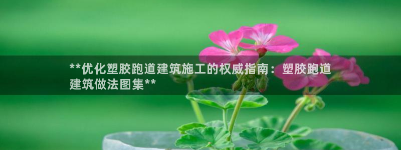 谈球吧首充金额截图：**优化塑胶跑道建筑施工的权威指南：塑胶跑道
建筑做法图集**