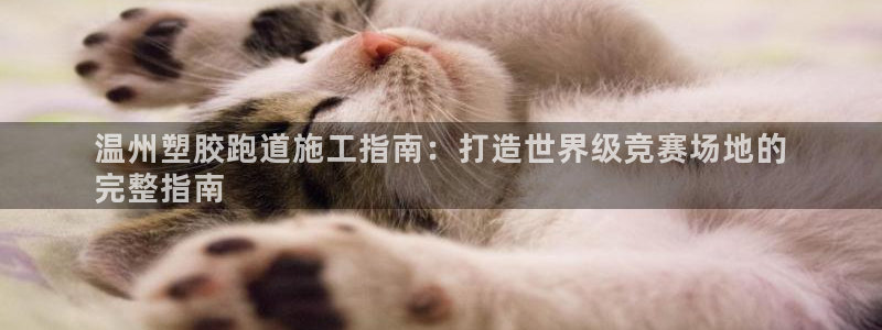 谈球吧的聊天软件下载：温州塑胶跑道施工指南：打造世界级竞赛场地的
完整指南
