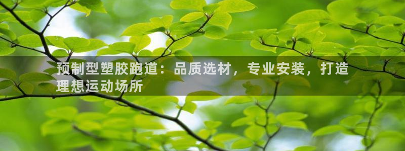 谈球吧娱乐app下载官网苹果手机：预制型塑胶跑道：品质选材，专业安装，打造
理想运动场所