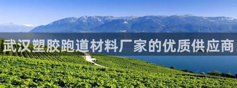 谈球吧体育官网在线入口免费观看