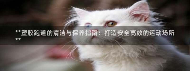 谈球吧平台黑吗?：**塑胶跑道的清洁与保养指南：打造安全高效的运动场所
**