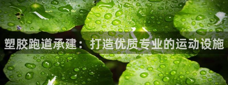 谈球吧网页版：塑胶跑道承建：打造优质专业的运动设施