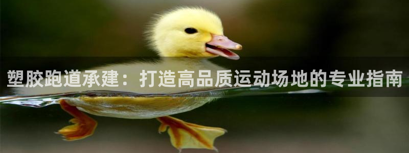 谈球吧在线登录：塑胶跑道承建：打造高品质运动场地的专