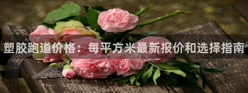 谈球吧中国：塑胶跑道价格：每平方米最新报价和选择指南