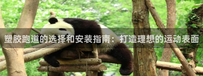 谈球吧官网在线入口手机版下载苹果：塑胶跑道的选择和安装指南：打造理想的运动表面