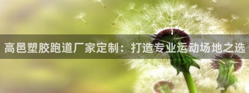 谈球吧app靠谱吗：高邑塑胶跑道厂家定制：打造专业运动场地之选