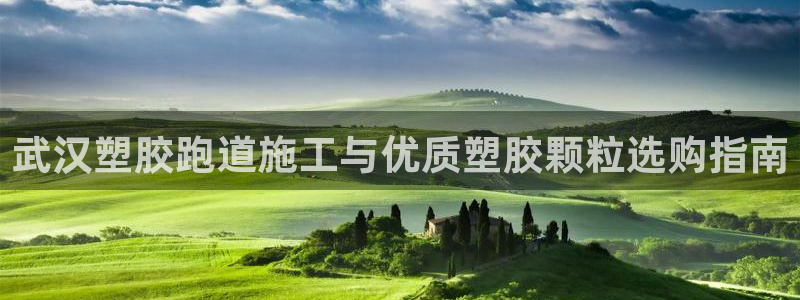 谈球吧的聊天软件是什么：武汉塑胶跑道施工与优质塑胶颗粒选购指南