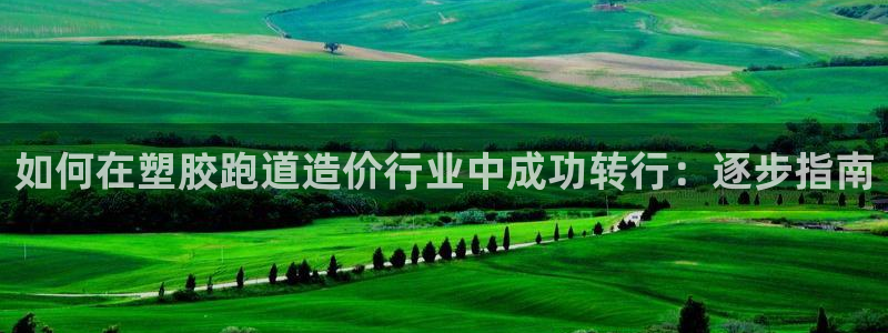 谈球吧app下载ios：如何在塑胶跑道造价行业中成功转行：逐步指南