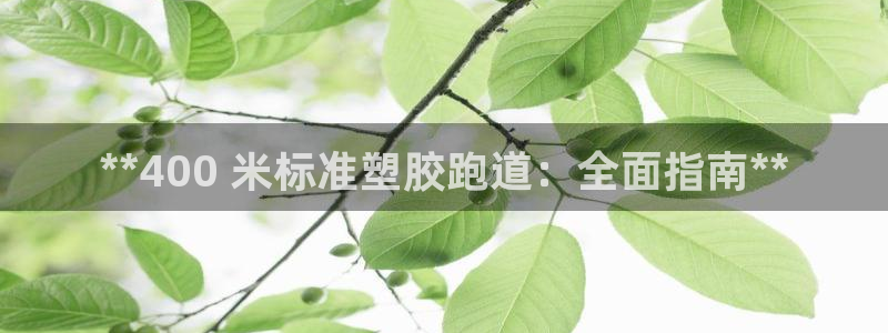 谈球吧体育app登陆不上：**400 米标准塑胶跑道：全面指南**
