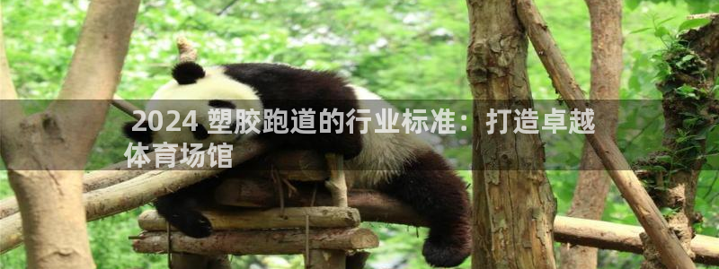 谈球吧体育app下载中心官网手机版： 2024 塑胶