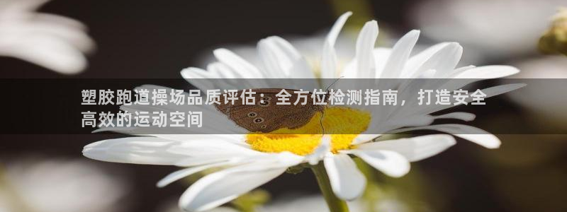 谈球吧官网app：塑胶跑道操场品质评估：全方位检测指南，打造安全
高效的运动空间