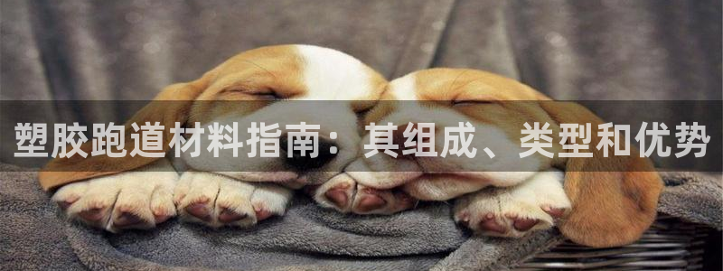 谈球吧tvt：塑胶跑道材料指南：其组成、类型和优势