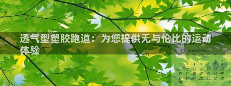 谈球吧黑款不：透气型塑胶跑道：为您提供无与伦比的运动
体验