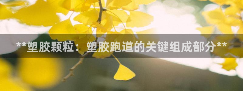 谈球吧体育app下载中心官网：**塑胶颗粒：塑胶跑道的关键组成部分**