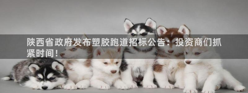 谈球吧娱乐app下载官网苹果：陕西省政府发布塑胶跑道招标公告：投资商们抓
紧时间！