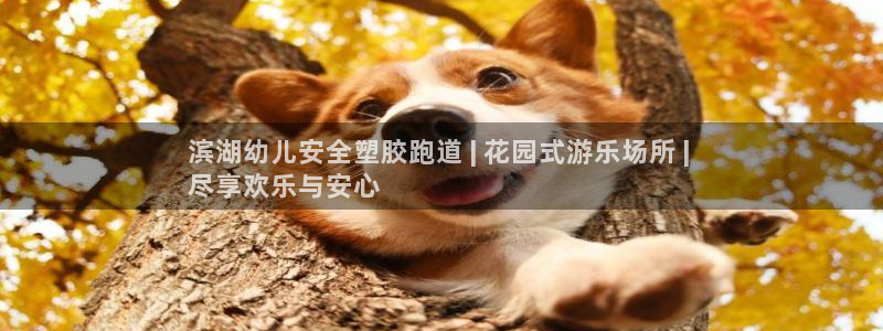 谈球吧平台正规吗可信吗：滨湖幼儿安全塑胶跑道 | 花园式游乐场所 | 
尽享欢乐与安心