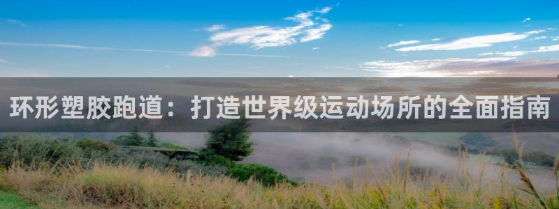 谈球吧体育官网在线入口免费观看：环形塑胶跑道：打造世界级运动场所的全面指南