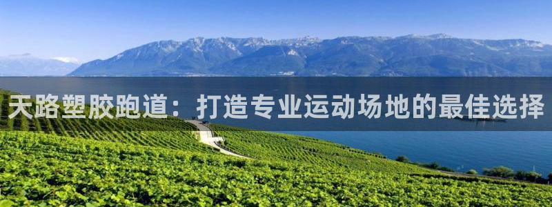 谈球吧下载：天路塑胶跑道：打造专业运动场地的最佳选择