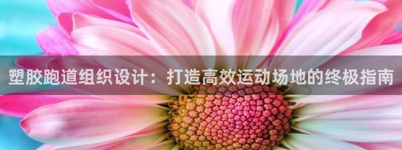 谈球吧体育官网在线入口免费观看：塑胶跑道组织设计：打造高效运动场地的终极指南