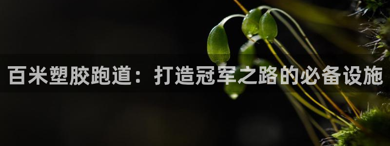 谈球吧官网在线入口手机版下载安装
