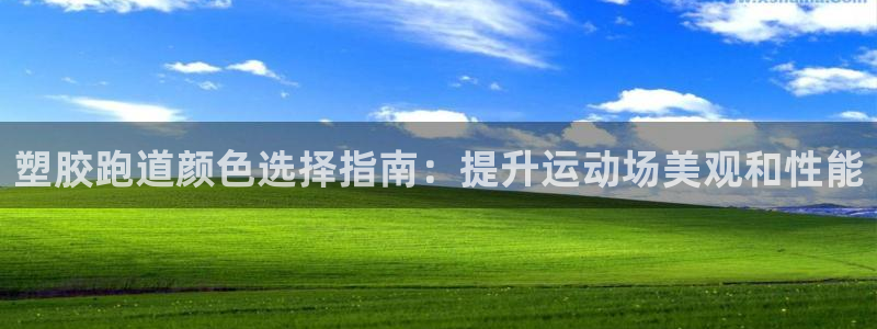 谈球吧在线登录免费观看：塑胶跑道颜色选择指南：提升运动场美观和性能