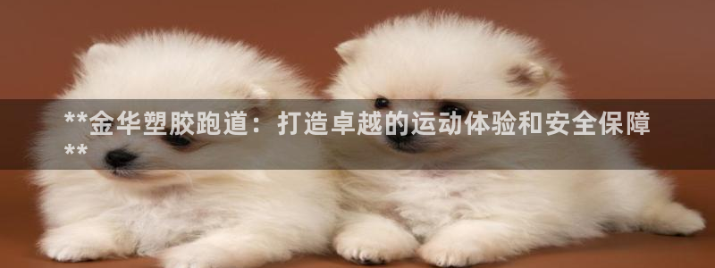 谈球吧网app官网下载：**金华塑胶跑道：打造卓越的