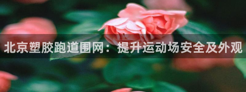 谈球吧体育官方入口：北京塑胶跑道围网：提升运动场安全及外观