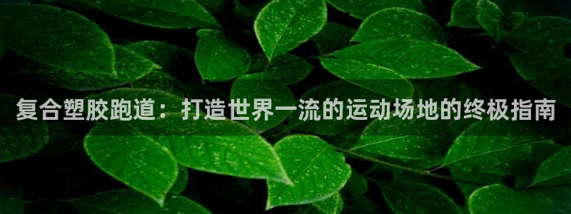 谈球吧咋样黑钱：复合塑胶跑道：打造世界一流的运动场地的终极指南